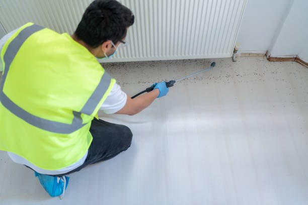 Best Fumigation Services  in Rossmoor, NJ